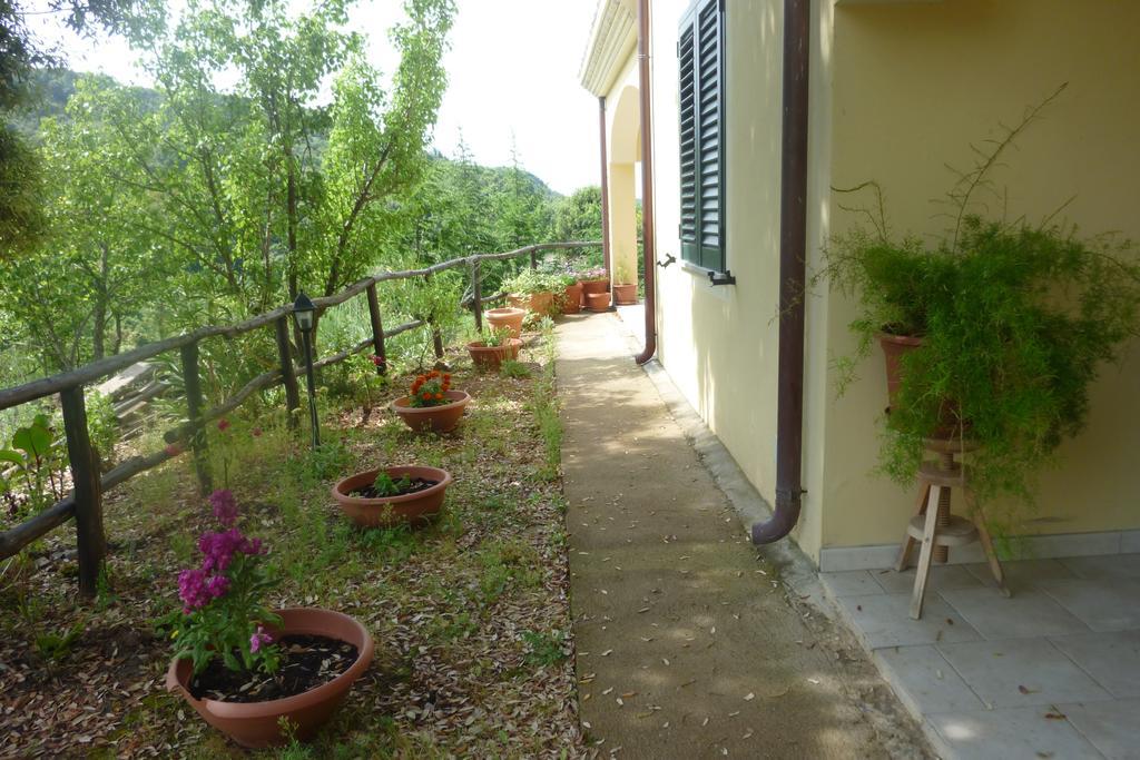 Agriturismo Ticci Seulo Exterior photo
