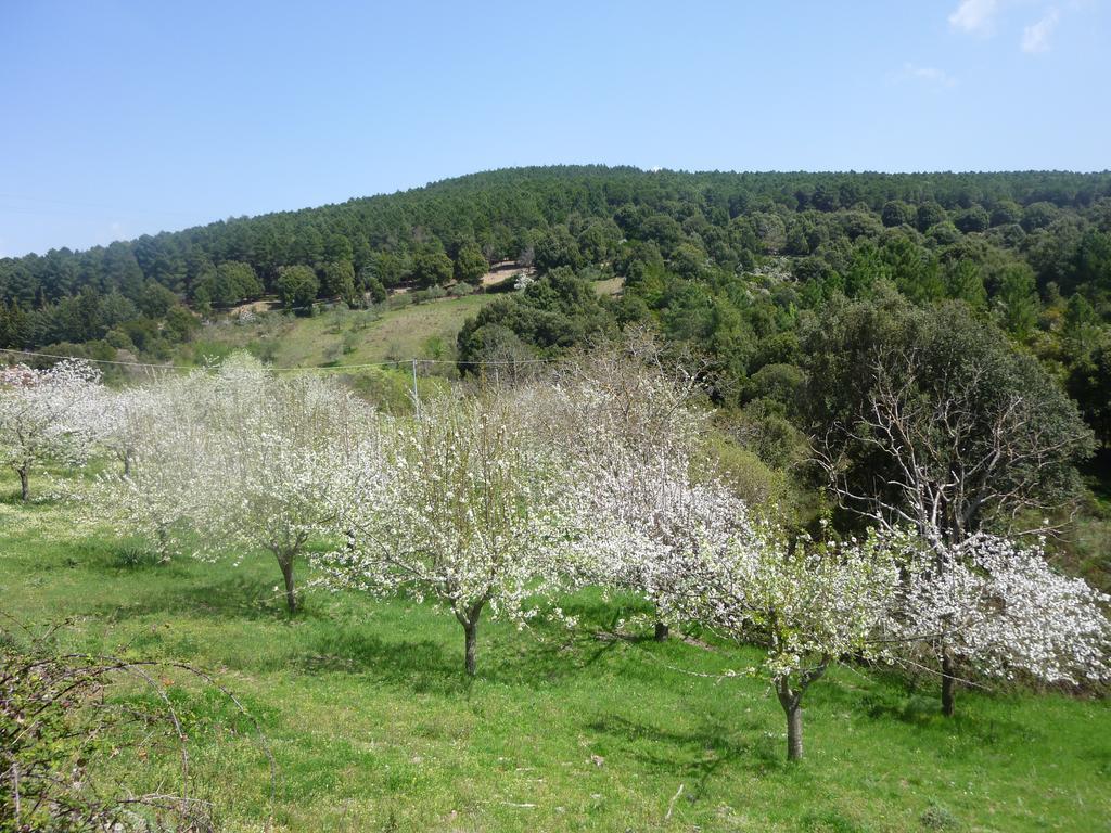 Agriturismo Ticci Seulo Exterior photo