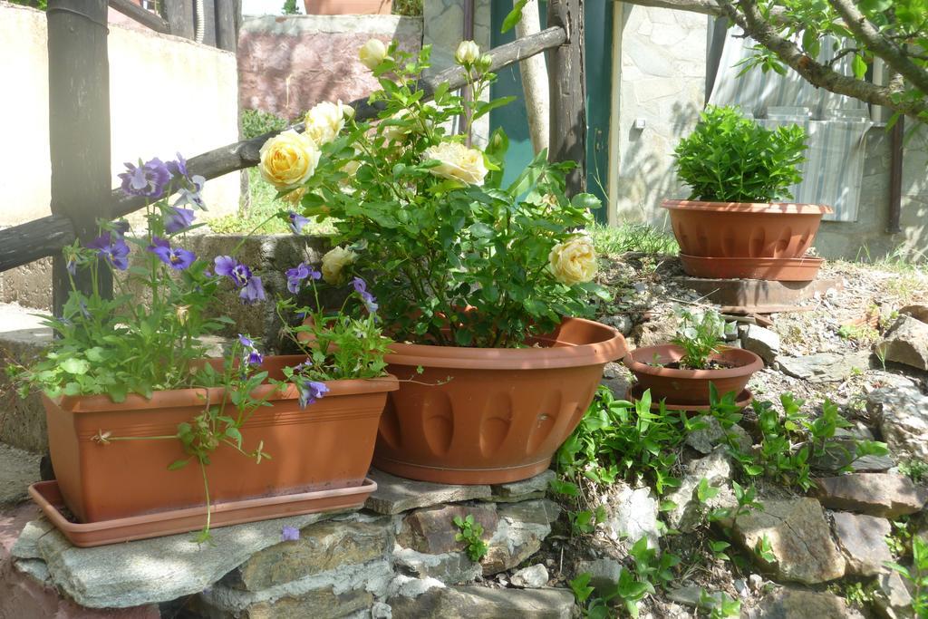 Agriturismo Ticci Seulo Room photo